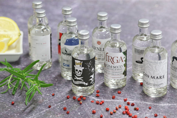 <tc>Degustační set 10 ginů + DIY sada na výrobu ginu</tc>