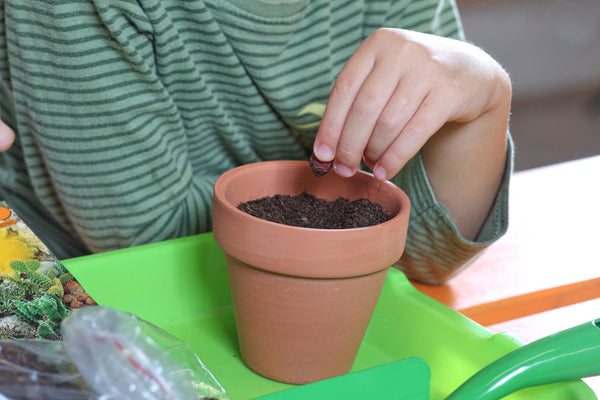 <tc>Zahradník: Dětská dárková sada pro malé zahrádkáře</tc>